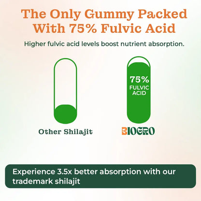 10 in 1 Gummies